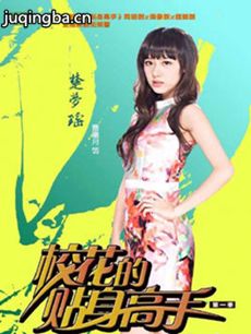 电视剧《校花的贴身高手2》剧情介绍(1-12全海报