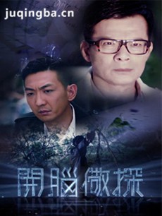 开脑儆探剧情介绍(1-16全集)海报