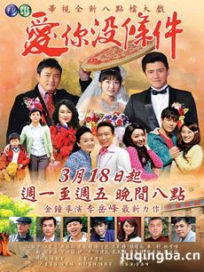 爱你没条件剧情介绍(1-60全集)海报