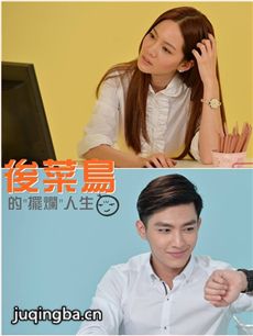 后菜鸟的灿烂时代剧情介绍(1-17全集)海报