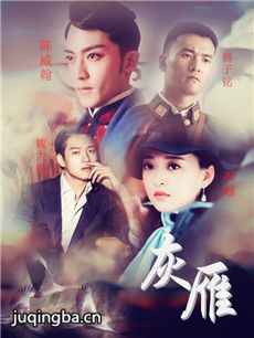 灰雁剧情介绍(1-46全集)海报