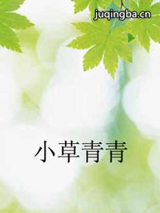 小草青青剧情介绍(1-55全集)海报