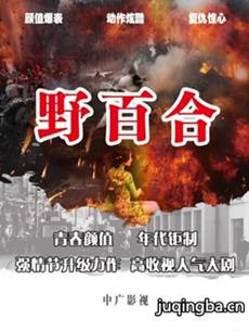 电视剧《野百合》剧情介绍(1-21全集)海报
