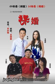 电视剧裸婚剧情介绍(1-30全集)海报