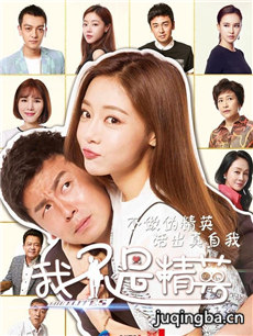 我不是精英剧情介绍(1-43全集)海报