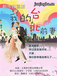 我的台北前妻剧情介绍(1-40全集)海报