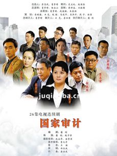 电视剧国家审计剧情介绍(1-26全集)海报