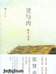 电视剧《灵与肉》剧情介绍(1-42全集)海报