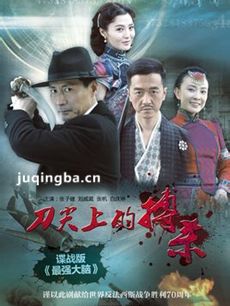 刀尖上的搏杀剧情介绍(1-43全集)海报