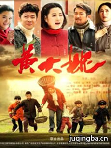 黄大妮剧情介绍(1-48全集)海报