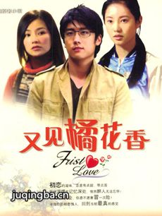电视剧《又见橘花香》剧情介绍(1-20全集)海报