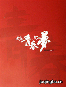 我的青春我的梦剧情介绍(1-30全集)海报