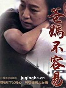 爸妈不容易剧情介绍(1-20全集)海报