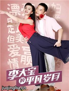 李大宝的平凡岁月