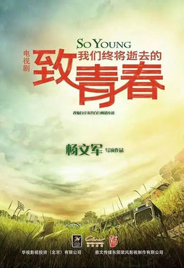 电视剧《致我们终将逝去的青春》剧情介绍(1海报