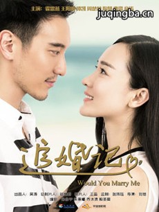 电视剧《追婚记》剧情介绍(1-41全集)海报