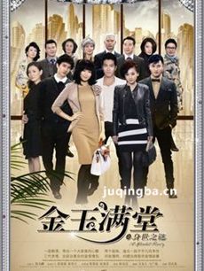 电视剧金玉满堂剧情介绍(胡杏儿版)海报