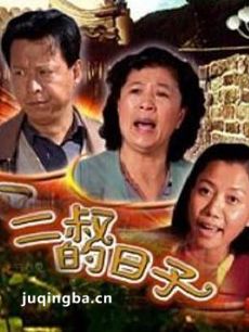 二叔的日子剧情介绍(1-38全集)海报
