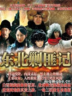 东北剿匪记剧情介绍(1-48全集)海报