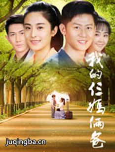 我的仨妈俩爸剧情介绍(1-56全集)海报