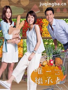 唯一继承者剧情介绍(1-15全集)海报