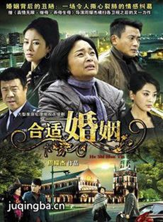 合适婚姻剧情介绍(1-25全集)海报