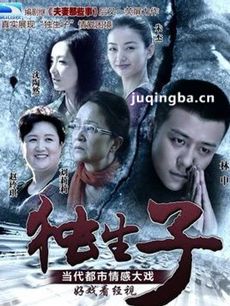 电视剧独生子剧情介绍(1-36全集)海报