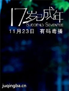 17岁已成年