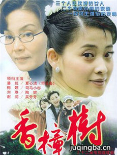 香樟树剧情介绍(1-32全集)海报