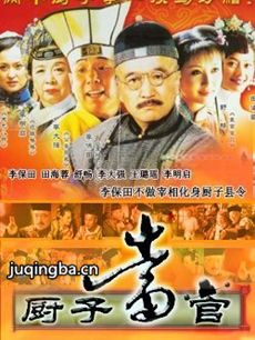厨子当官剧情介绍(1-30全集)海报