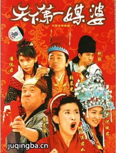 天下第一媒婆剧情介绍(1-42全集)海报