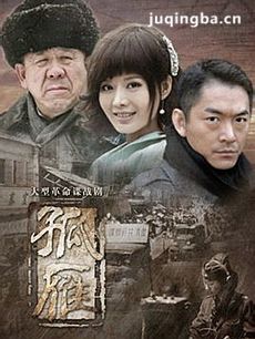 电视剧孤雁剧情介绍(1-45全集)海报