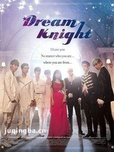 韩剧Dream Knight剧情介绍(1-12全集)海报