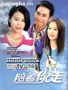 电视剧《陪着你走》剧情介绍(1-20全集)海报