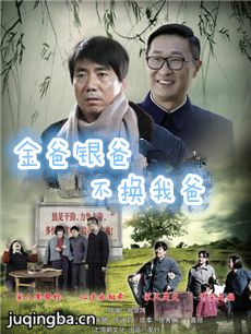 金爸银爸不换我爸剧情介绍(1-33全集)海报