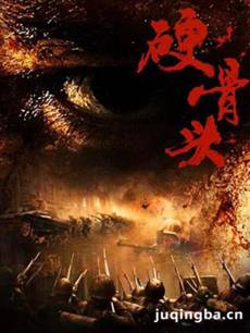 电视剧《硬骨头》剧情介绍(1-36全集)海报