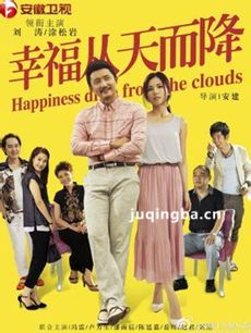 后婚姻时代剧情介绍(1-60全集)海报