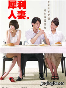 犀利人妻剧情介绍(1-23全集)海报