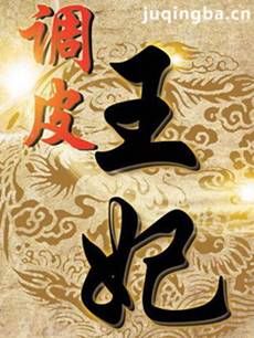 电视剧《调皮王妃》剧情介绍(1-40全集)海报
