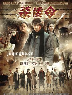 杀倭令剧情介绍(1-36全集)海报