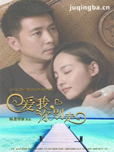 爱我你别走剧情介绍(1-49全集)海报