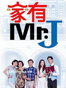 电视剧《家有Mr.J》剧情介绍(1-6全集)海报