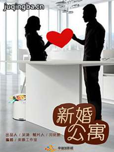 新婚公寓剧情介绍(1-30全集)海报