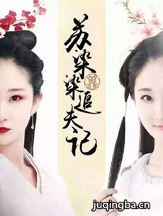 苏染染追夫记剧情介绍(1-50全集)海报