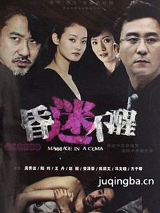 电视剧《昏迷不醒》剧情介绍(1-26全集)海报