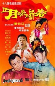 正月里来是新春剧情介绍(1-18全集)海报