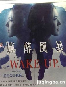 电视剧《麻醉风暴》剧情介绍(1-6全集)海报