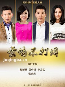 爱情不打烊剧情介绍(1-45全集)海报