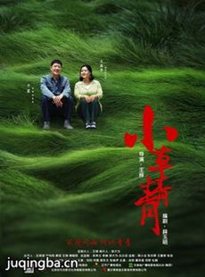 电视剧嫂娘剧情介绍(1-55全集)海报