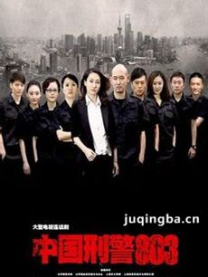 中国刑警803